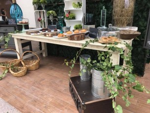 37316362_1662373693860313_2283746772570341376_n